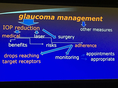 Glaucoma Management - IO·ICO Barcelona